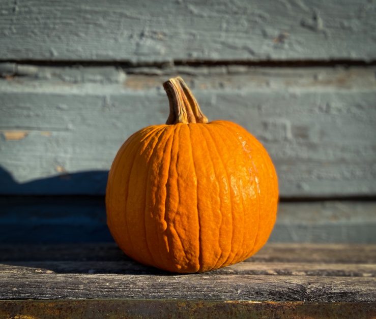 Pumpkin