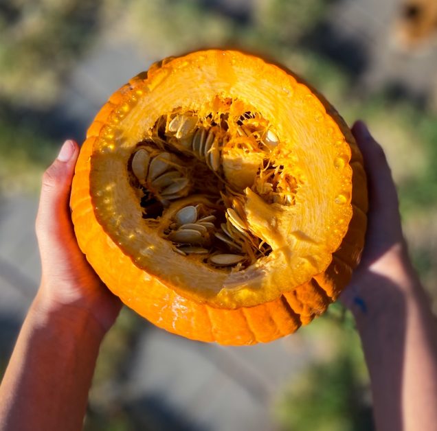 Pumpkin